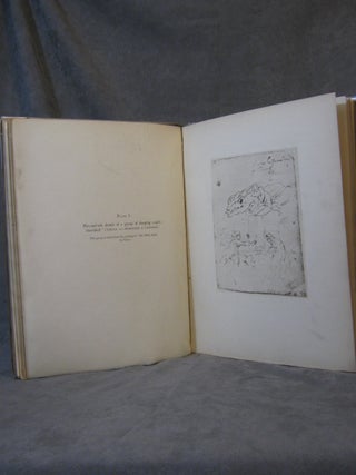 A description of the Sketch-book By Sir Anthony Van Dyck, Used By him in Italy, 1621-1627 and preserved in the Collection of the Duke of Devonshire, K.G. At Chatsworth