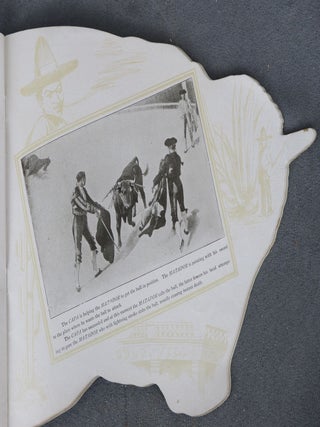 Bull Fighting Illustrated