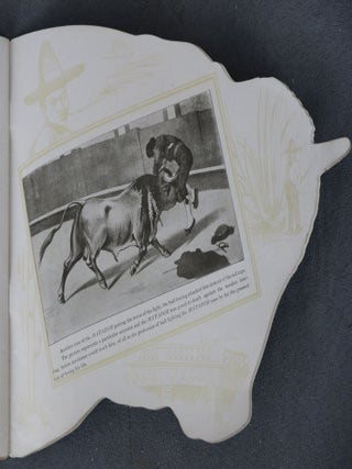 Bull Fighting Illustrated