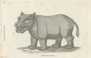 Natural History of Quadrupeds; with engravings, on a new plan, exhibiting their comparative size; adapted to the capacities of youth; with authentic anecdotes, illustrating the habits and characters of the animals; together with reflections, moral and religious, designed for Sabbath school libraries, families and common schools
