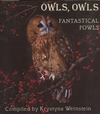 Item #0089042 Owls, Owls, Fantastical Fowls. Krystyna Weinstein
