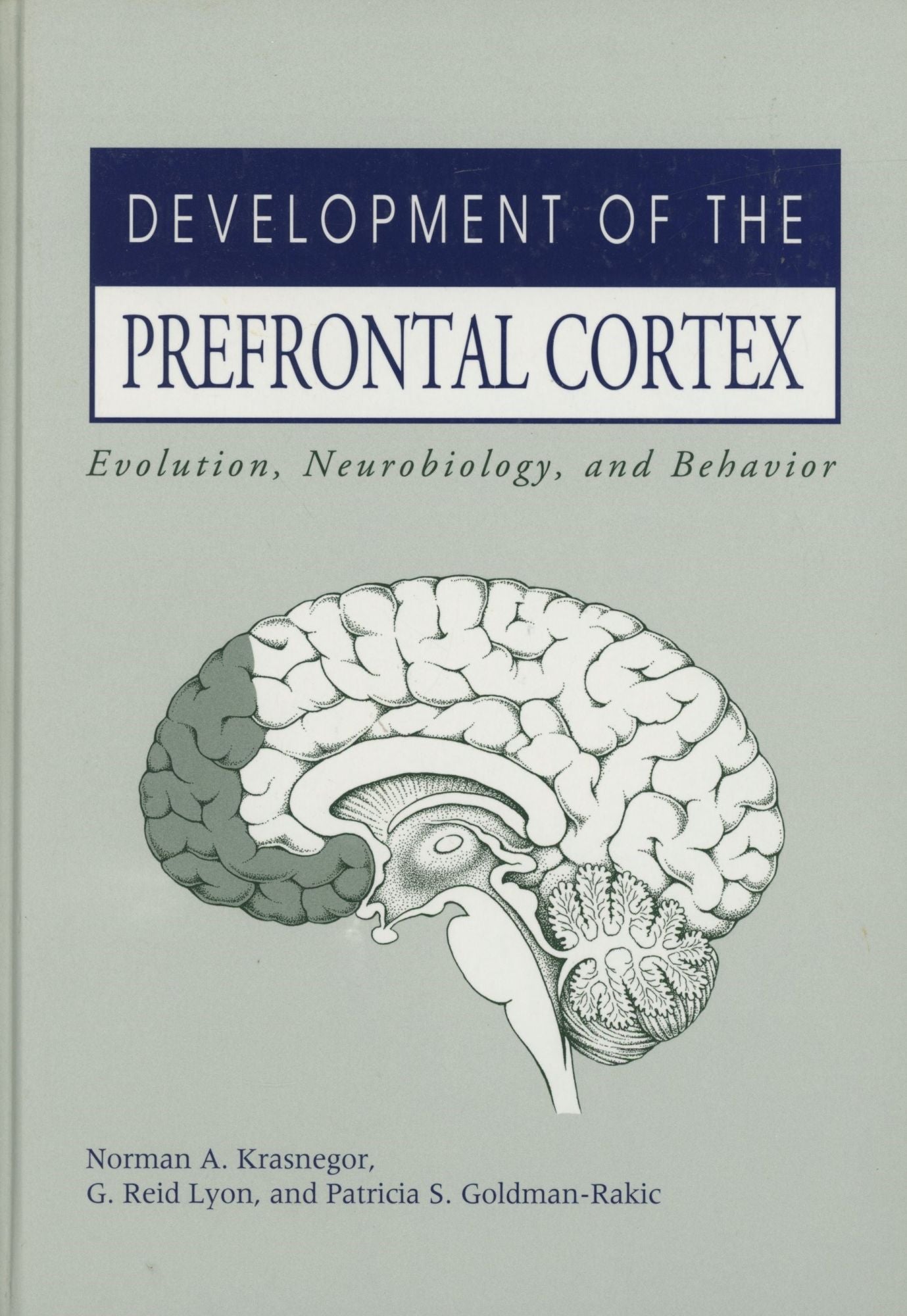 Development Of The Prefrontal Cortex Evolution Neurobiology And Behavior Norman A 6833