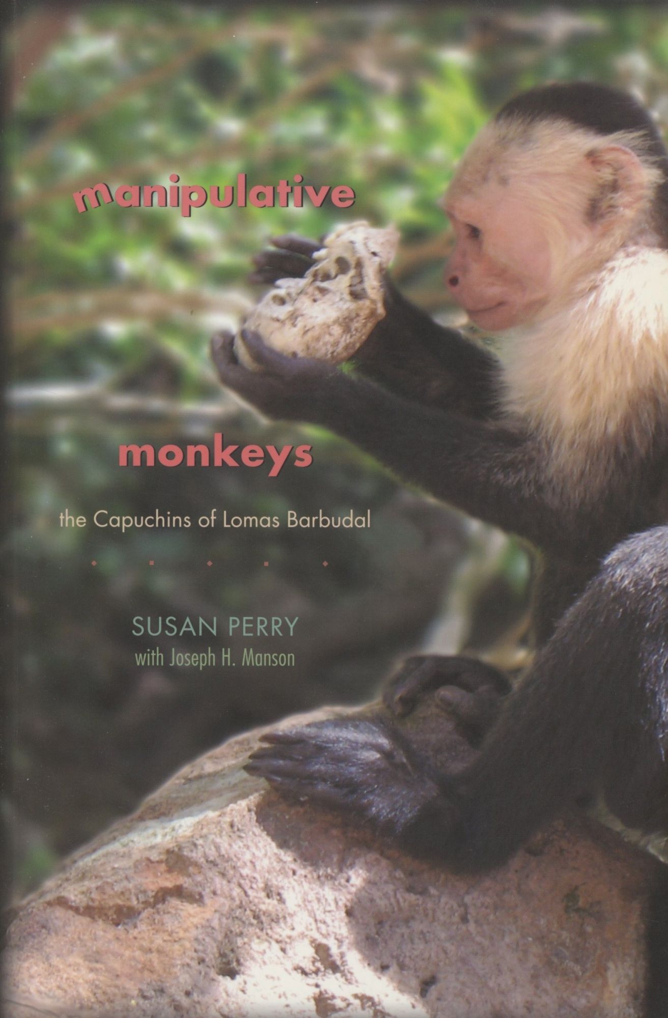 Manipulative Monkeys: The Capuchins of Lomas Barbudal | Susan Perry ...