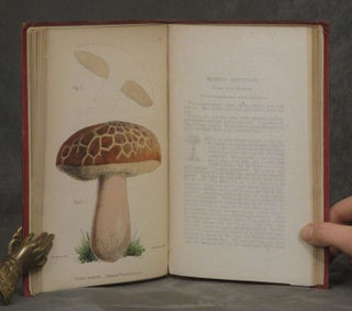 A Selection of the Eatable Funguses of Great Britain, 1863, with color plates