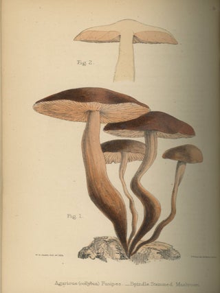 A Selection of the Eatable Funguses of Great Britain, 1863, with color plates