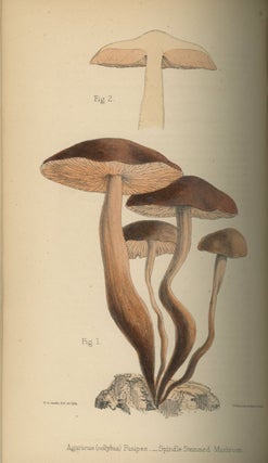 A Selection of the Eatable Funguses of Great Britain, 1863, with color plates