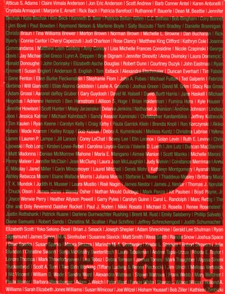 Item #B44005 Fe in the Making: Two Hundred and Fifty Years/Two Hundred and Fifty Artists. Vicky...