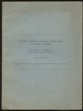 Item #B46887 Two Peculiar Actinian Larvae from Tortugas, Florida [Extracted from Publication 103,...