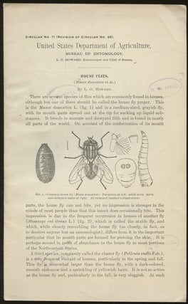 Item #B46891 House Flies [United States Department of Agriculture, Circular No. 71 (Revision of...