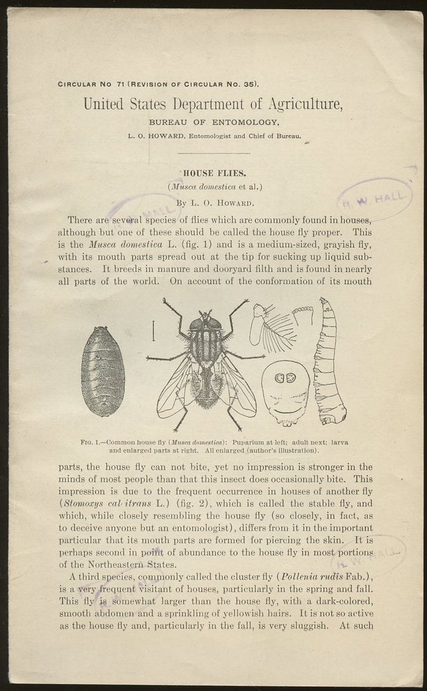 Item #B46891 House Flies [United States Department of Agriculture, Circular No. 71 (Revision of Circular No. 35)]. L. O. Howard.