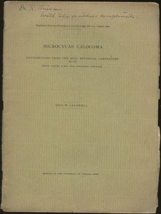 Item #B50051 Microcycas Calocoma: Contributions from the Hull Botanical Laboratory...