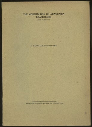 Item #B50087 The Morphology of Araucaria Brasiliensis [Reprinted for private circulation from the...