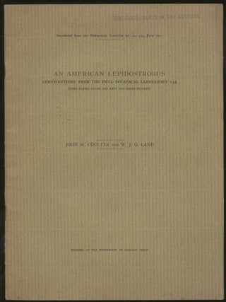 Item #B50129 An American Lepidostrobus: Contributions from the Hull Botanical Laboratory 144...