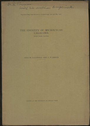 Item #B50156 The Identity of Microcycas Calocoma (With Three Figures) [Reprinted from the...