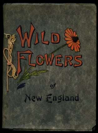 Item #B53098 Wild Flowers of New England. Chester A. Reed