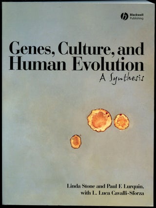 Item #B53564 Genes, Culture, and Human Evolution: A Synthesis. Linda Stone, Paul F. Lurquin, L....