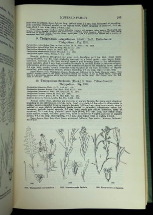 Illustrated Flora of the Pacific States Washington, Oregon, and California: Vol. II--Polygonaceae to Krameriaceae, Buckwheats to Kramerias [This volume only!]