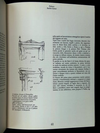 Palazzi de Firenze