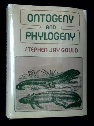 Item #B64467 Ontogeny and Phylogeny. Stephen Jay Gould