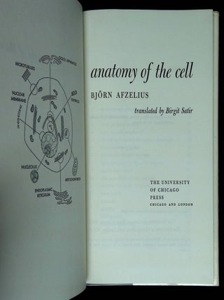 Anatomy of the Cell