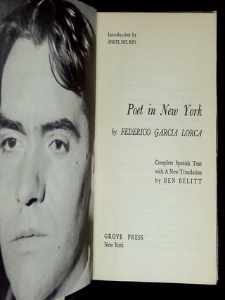 Poet in New York