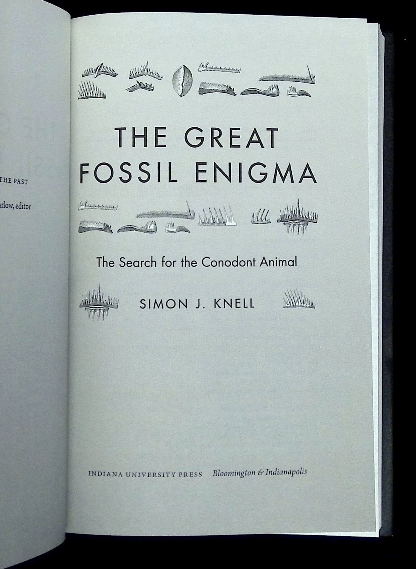 The Great Fossil Enigma: The Search for the Conodont Animal | Simon J ...