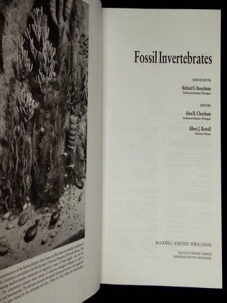 Fossil Invertebrates