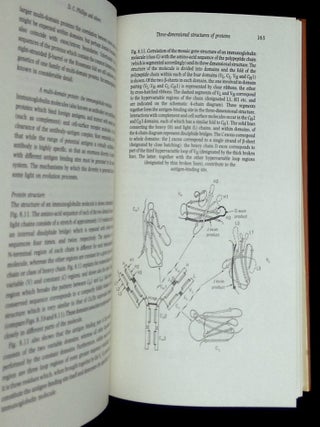 Evolution from Molecules to Men