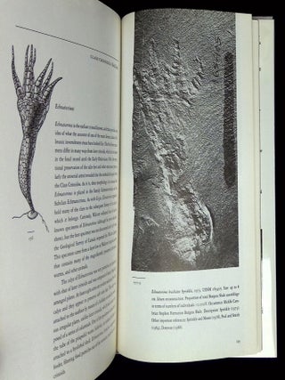 The Fossils of the Burgess Shale