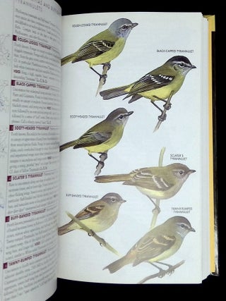 Birds of Peru