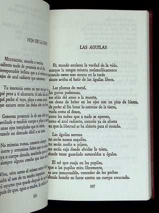Mis Poemas Mejores
