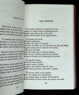 Mis Poemas Mejores