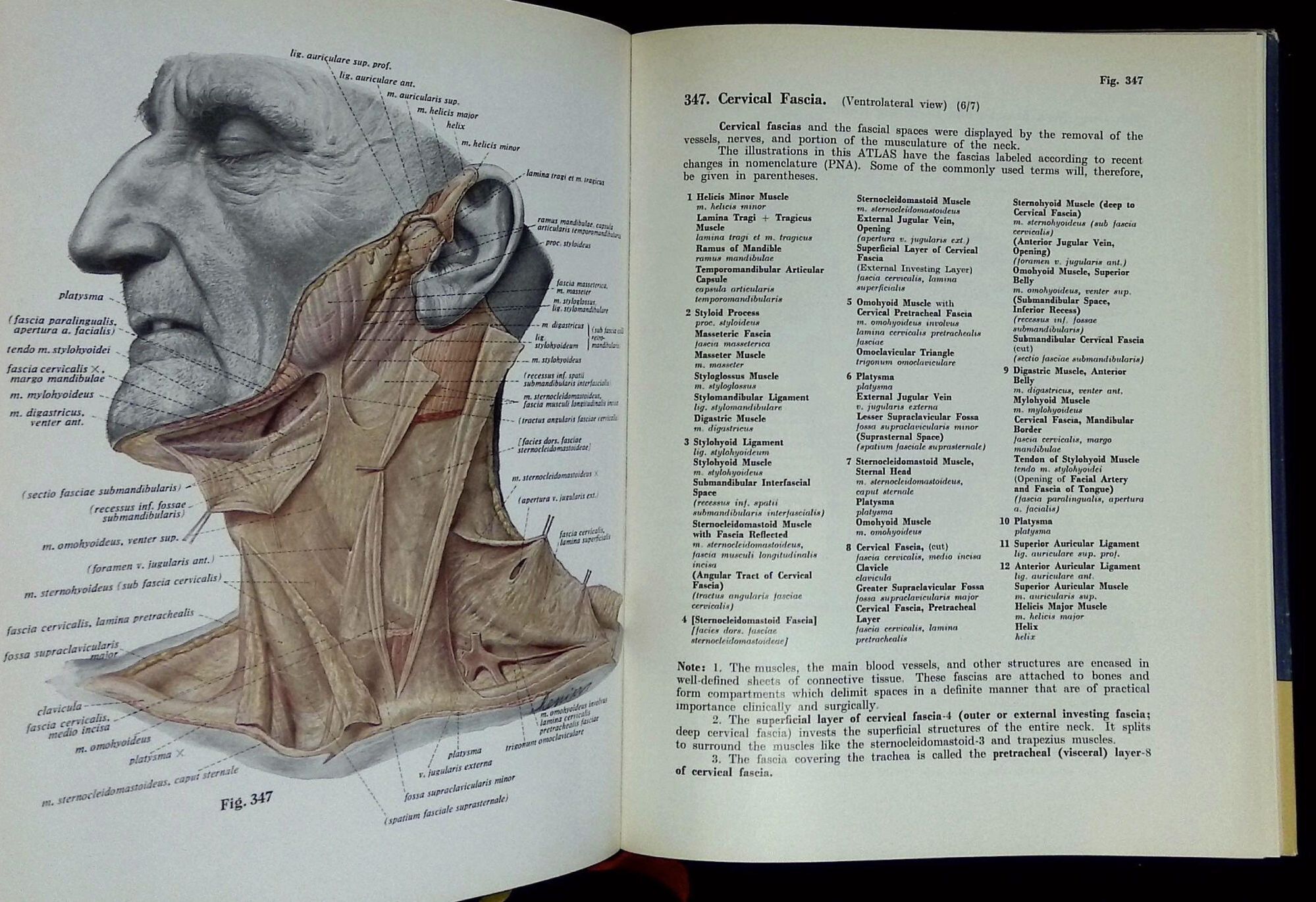 Atlas of Human Anatomy: Vol. I--Atlas of Bones, Joints, and
