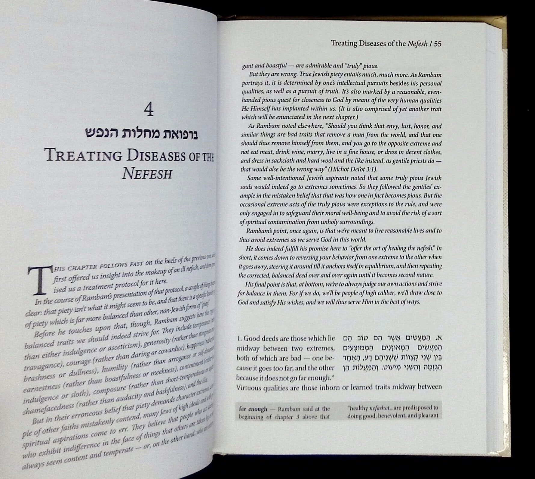 The 8 Chapters of the Rambam: A Classic Work on the Fundamentals of ...