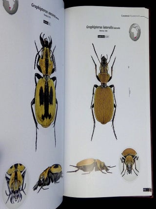 Ground Beetles of Africa: Afrotropical Region