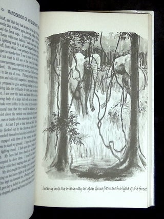 The Wanderings of an Elephant Hunter