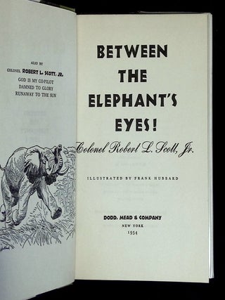 Between the Elephant's Eyes!
