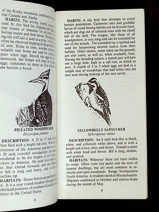 Guide to Florida Backyard Birds