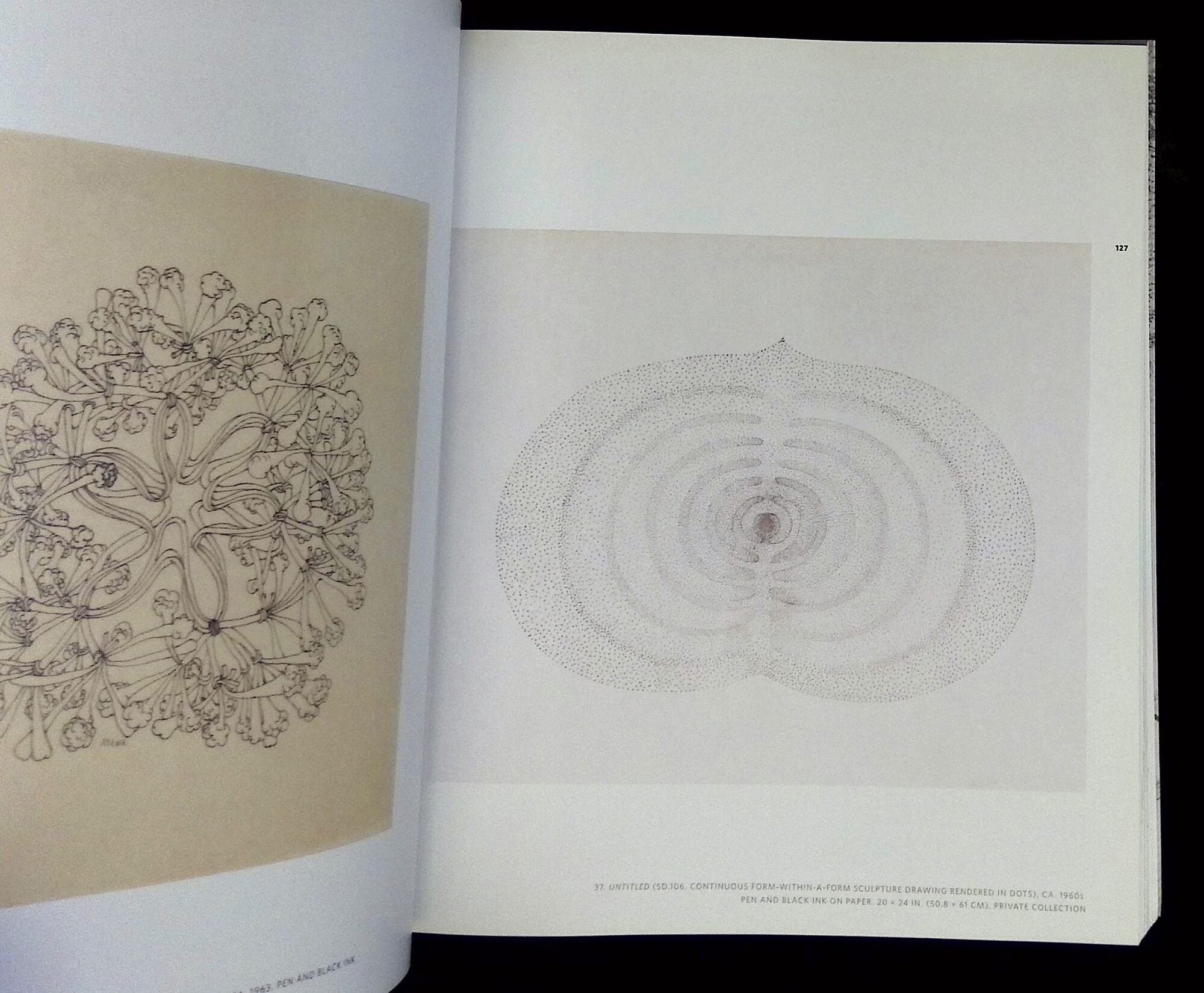 The Sculpture of Ruth Asawa: Contours in the Air | Timothy Anglin ...