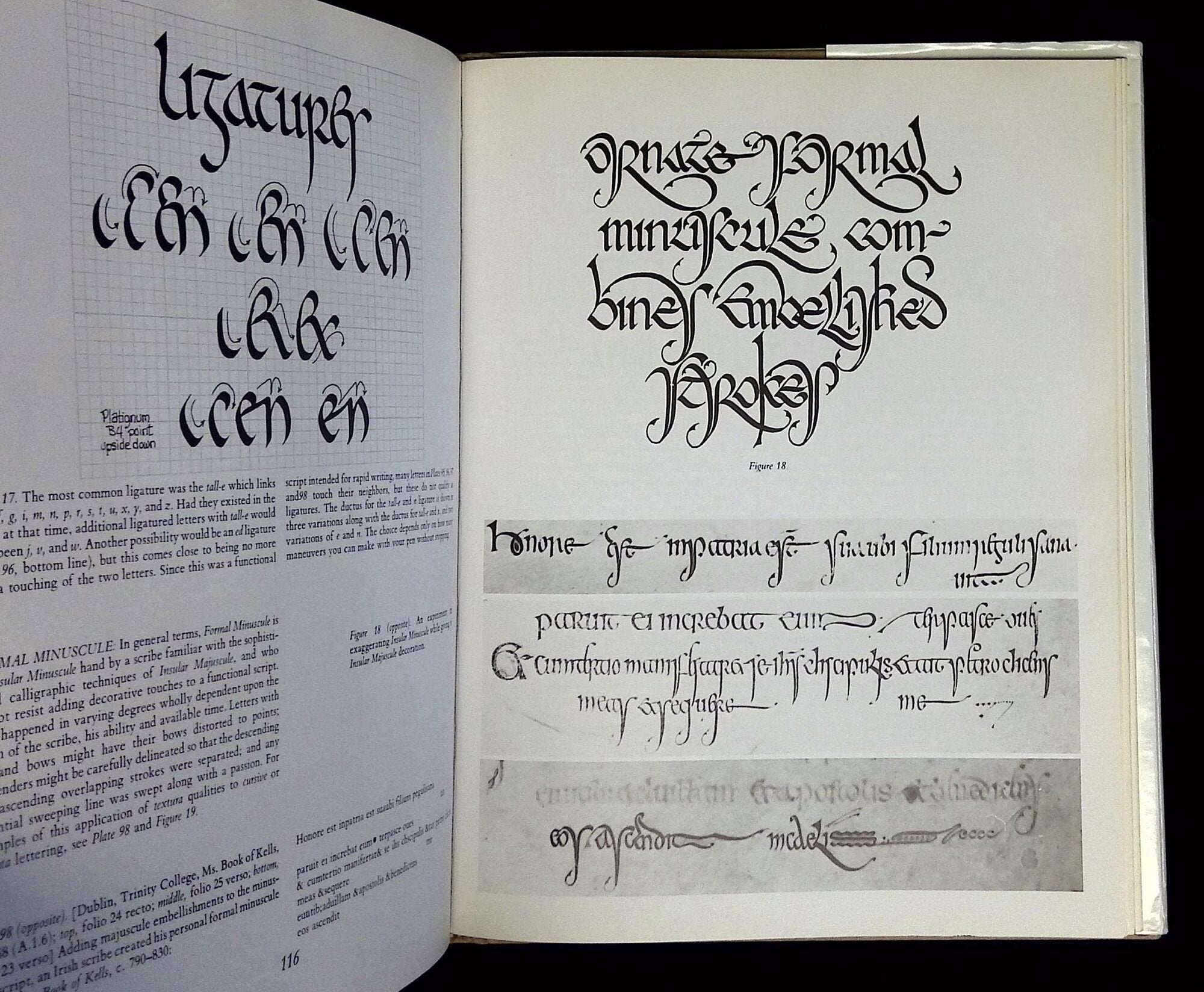 Medieval Calligraphy: Its History and Technique | Marc Drogin, Paul Freeman
