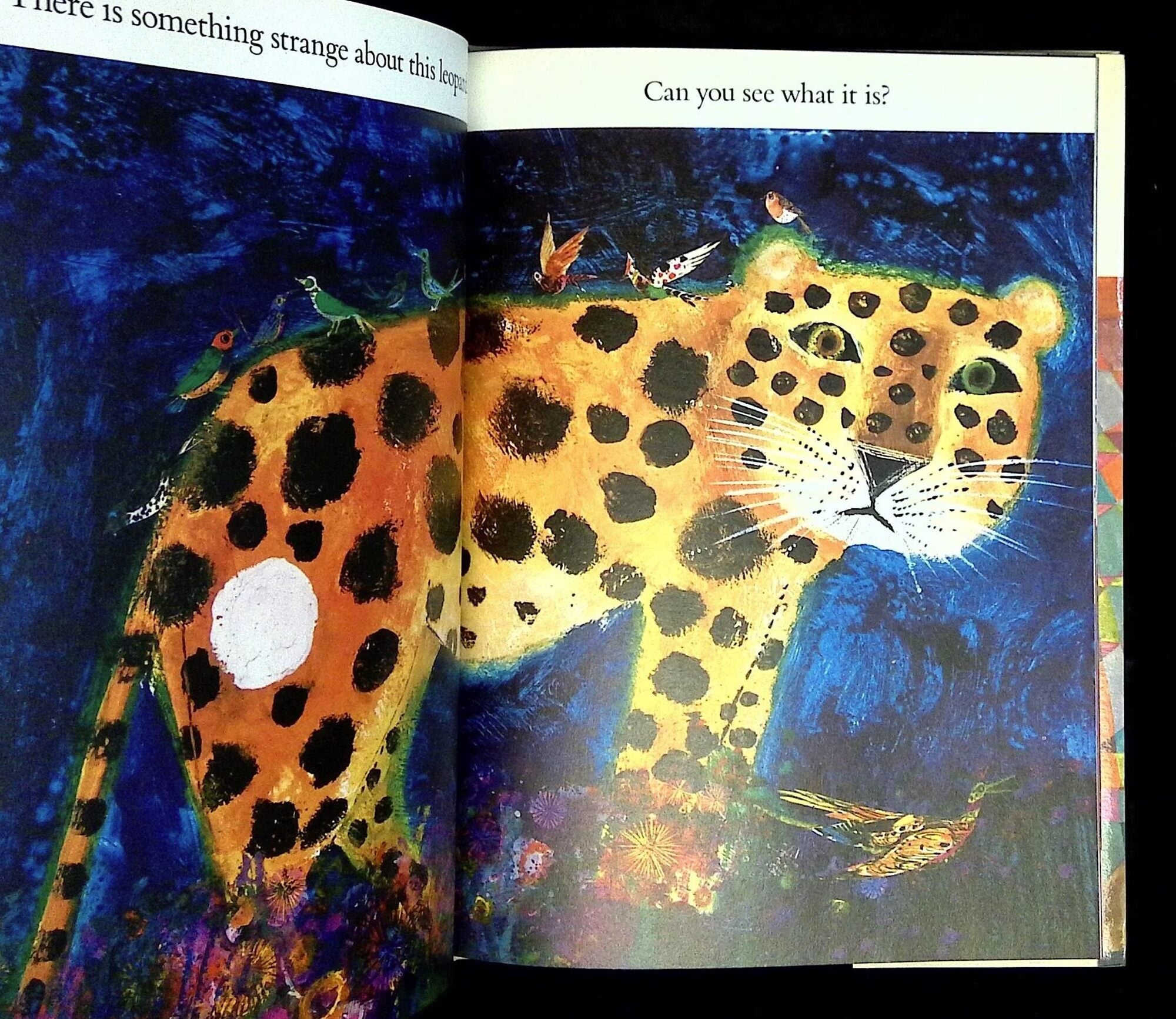 Brian Wildsmith's Puzzles | Brian Wildsmith | First American edition