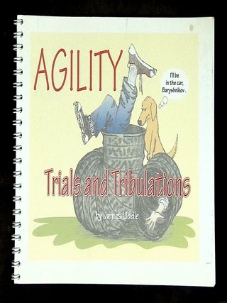 Agility: Trials and Tribulations