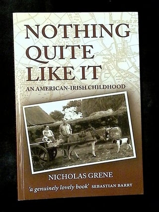 Nothing Quite Like It: An American-Irish Childhood