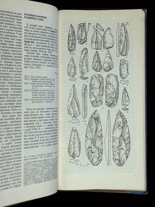 The Old Stone Age of the World: Studies in Palaeolithic Cultures--The Palaeolithic of Near and Middle East [This volume only!]