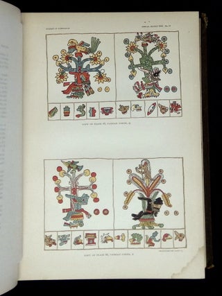Notes on Certain Maya and Mexican Manuscripts; et al [Third Annual Report of the Bureau of Ethnology to the Secretary of the Smithsonian Institution 1881-'82]
