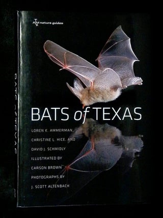 Item #B79769 Bats of Texas [Signed by Ammerman!]. Loren K. Ammerman, Christine L. Hice, David J....