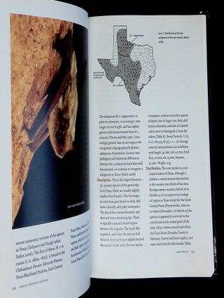 Bats of Texas [Signed by Ammerman!]