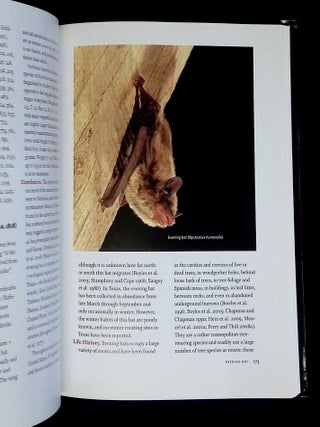 Bats of Texas [Signed by Ammerman!]