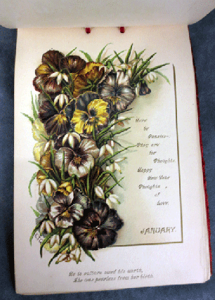 Holly & Mistletoe: Songs Across the Snow, a Companion to Buttercups and Daisies