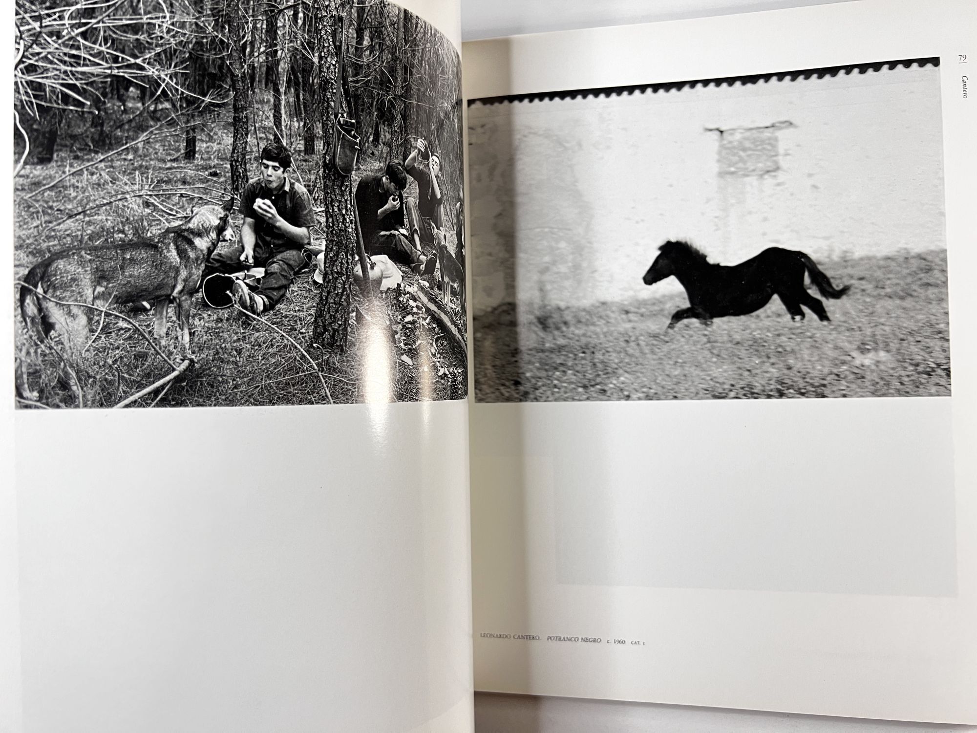Fotografos de la Escuela de Madrid: Obra 1950/1975 | n/a